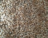 બાજરી ની ખીચડી (Bajri Khichdi Recipe in Gujarati) રેસીપી સ્ટેપ1ફોટો