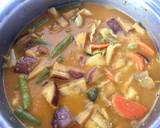 Vegetable Curry with Salted Fish and Pineapple recipe step 6 photo