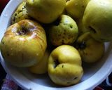 Birsalma kompót befőzőautomatával recept fázis 1 fotója