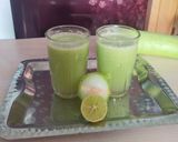 लौकी का जूस सिर्फ पांच मिनिट में(Lauki Juice Only in five minutes Recipe In Hindi) रेसिपी चरण 3 फोटो