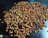 Foto del paso 2 de la receta: Lentejas crocantes