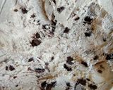 Foto langkah ke 3 dari resep Ice Cream Whip Cream Oreo.