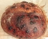 Foto langkah ke 20 dari resep Double Chocolate Sourdough Bread (80%).