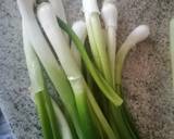 Quick green onion sabji recipe step 1 photo