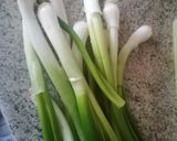 A picture of step 1 of Quick green onion sabji.