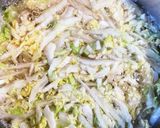 A picture of step 5 of Noodles with Ginger and Napa Cabbage in Thickened Broth (Great with Udon or Somen).