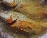 Gambar langkah 1 resipi Ikan Gerut Masak Tauhu & Cuka 🐟✨.