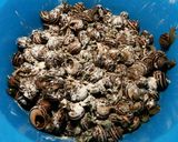Foto del paso 4 de la receta Caracoles en salsa Urrutia