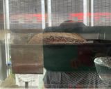 A picture of step 2 of Grain and Mixed Flour Sourdough Bread (Beginner Recipe, Adapted from a Cookpad Friend).