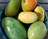 Foto langkah ke 1 dari resep Selai Mangga.