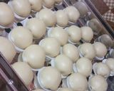 Foto langkah ke 5 dari resep Bakpau mini.