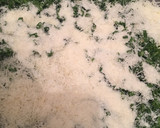 Foto del paso 3 de la receta: Ensalada de espinaca cruda y aceite de oliva
