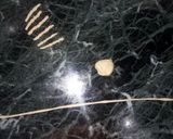 A picture of step 1 of Wheat flour pasta.