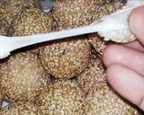 রাইস বল (Rice ball recipe in Bengali) রেসিপি ধাপ - 3 ছবি