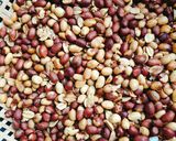 Hình bước làm 1 của món Rang đậu phộng giòn đều màu