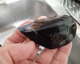 Foto del paso 2 de la receta: Mejillones al vapor