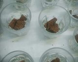 Foto del paso 2 de la receta: Chocotorta en vaso