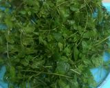 A picture of step 3 of Dry Mint.