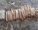 Foto del paso 3 de la receta: Pasta Fresca con Salsa Pomodoro
