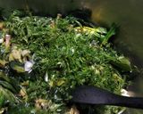 Φωτογραφία βήματος 4 της συνταγής Γίγαντες με Σπανάκι και Μυρωδικά στον φούρνο