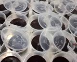 Foto langkah ke 2 dari resep Puding coklat tanpa susu, DCC dan telur TAPI ini tuh nyoklaaaat.