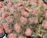 Foto del paso 6 de la receta: 108. Longanizas de Cerdo a la Cerveza