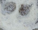 A picture of step 4 of Chocolate Nutties.