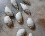 Une image de l'étape 4 de Petits Pains Maison 🌾.