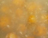 A picture of step 1 of Roasted Deviled Potato Salad.