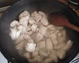 Vickys Asian-Style Braised Pork GF DF EF SF NF recipe step 1 photo