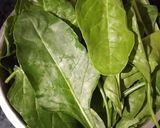 क्रिप्सी स्पिनच रोल (crispy spinach roll recipe in Hindi) रेसिपी चरण 2 फोटो