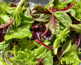 Foto del paso 1 de la receta: Ensalada variada con brotes de alfalfa y brócoli