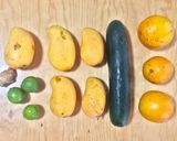 Foto del paso 1 de la receta: Sorbete tropical