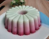 Foto langkah ke 3 dari resep Puding ombre buah naga.