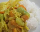 Foto langkah ke 8 dari resep Kari Sayur-Vegetable Curry (tanpa santan).