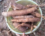 Hình bước làm 1 của món Canh khoai mỳ đuôi lợn hầm (xương hầm)