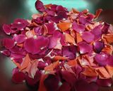 Pas rețetă Limonadă cu aromă de trandafiri🌹 1 fotografie