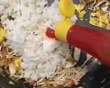 Foto langkah ke 5 dari resep Nasi Goreng Suka-Suka.