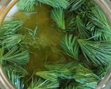 Fenyőrügy szirup recept fázis 2 fotója