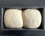 A picture of step 4 of Coconut Milk Bread.