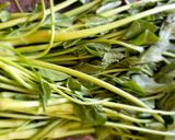 টক পালং এর চাটনি (tok palong chutney recipe in Bengali) রেসিপির ধাপ 1 ছবি