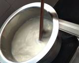 Homemade Mozzarella Cheese recipe step 2 photo