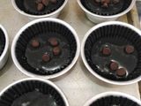 Brownie in Cup