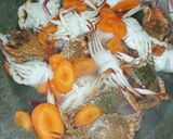 Foto langkah ke 2 dari resep Sop Bening Rajungan (Rajungan Rebus).