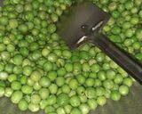 चटपटे मटर (chatpate matar recipe in Hindi) रेसिपी चरण 2 फोटो