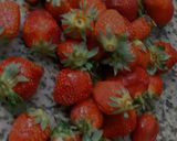 Une image de l'étape 1 de Tiramisu🥁 fête 🥳 les fruits 🫐🍑d’été 🍒🍓🥝🥭en verrines.