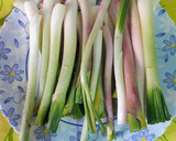 Foto del paso 2 de la receta: Filetes de ternera aliñados con cebolletas tiernas aliñadas