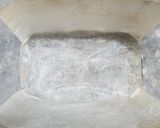 Foto del paso 3 de la receta: 💚🧡❤️Terrina de vegetales + cocción de acelga, zanahoria y remolacha. Todo al microondas ❤️🧡💚