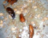 A picture of step 3 of Mong Anda Trka Masala Dhaba dall.