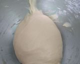Foto langkah ke 4 dari resep Mexican Conchas Bread (autolisis).